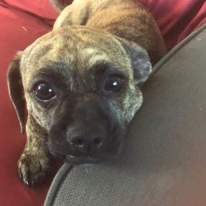 Meet your Posher, Janice